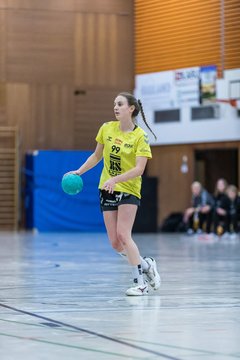 Bild 92 - F HSG Horst/Kieb - Lauenburger SV : Ergebnis: 26:23